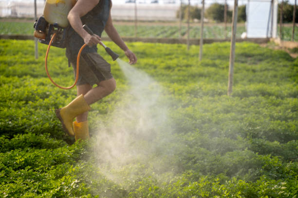 Professional Pest Control in Radcliff, KY